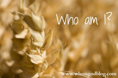 What's my identity in Christ?