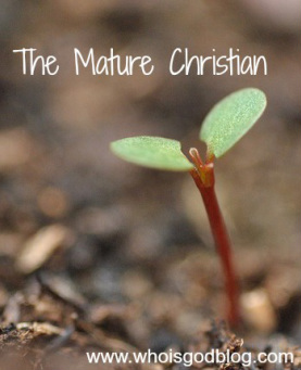 The must of Christian maturity