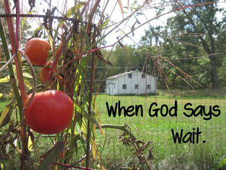 Christian Devotional on Waiting on God