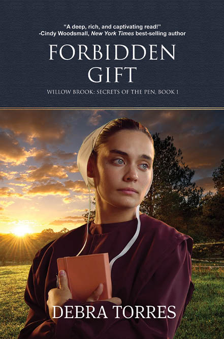 Amish Fiction Forbidden Gift